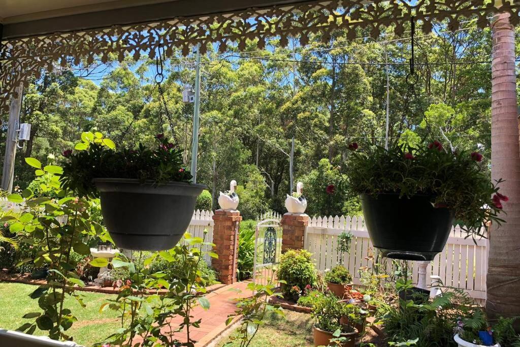 Vila Mountain Living With Ocean Views Mount Tamborine Exteriér fotografie